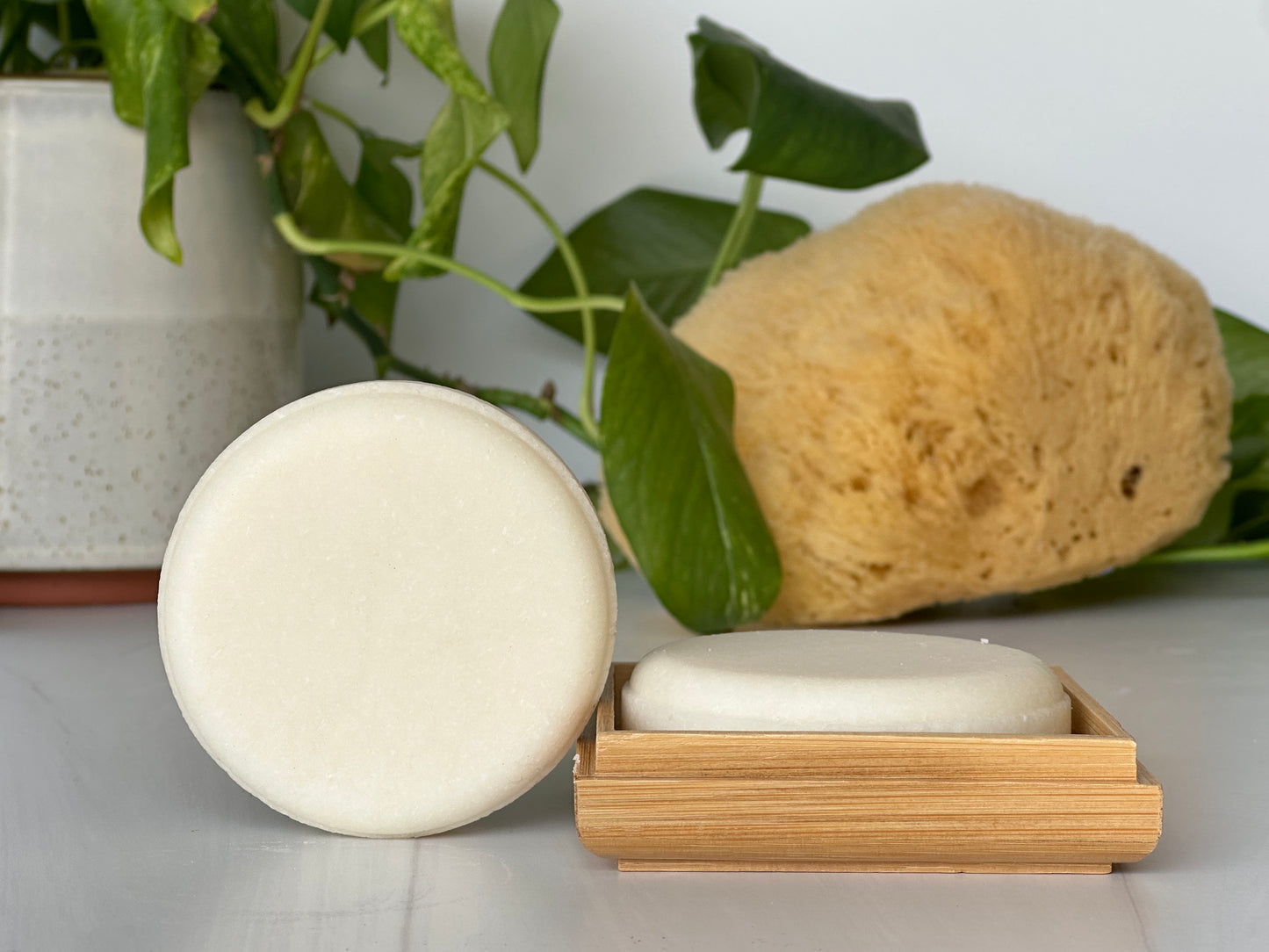 Shampoo refill bars